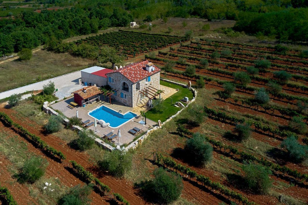 Relax House Surrounded By Olives And Vineyard Villa Stifanici Ngoại thất bức ảnh
