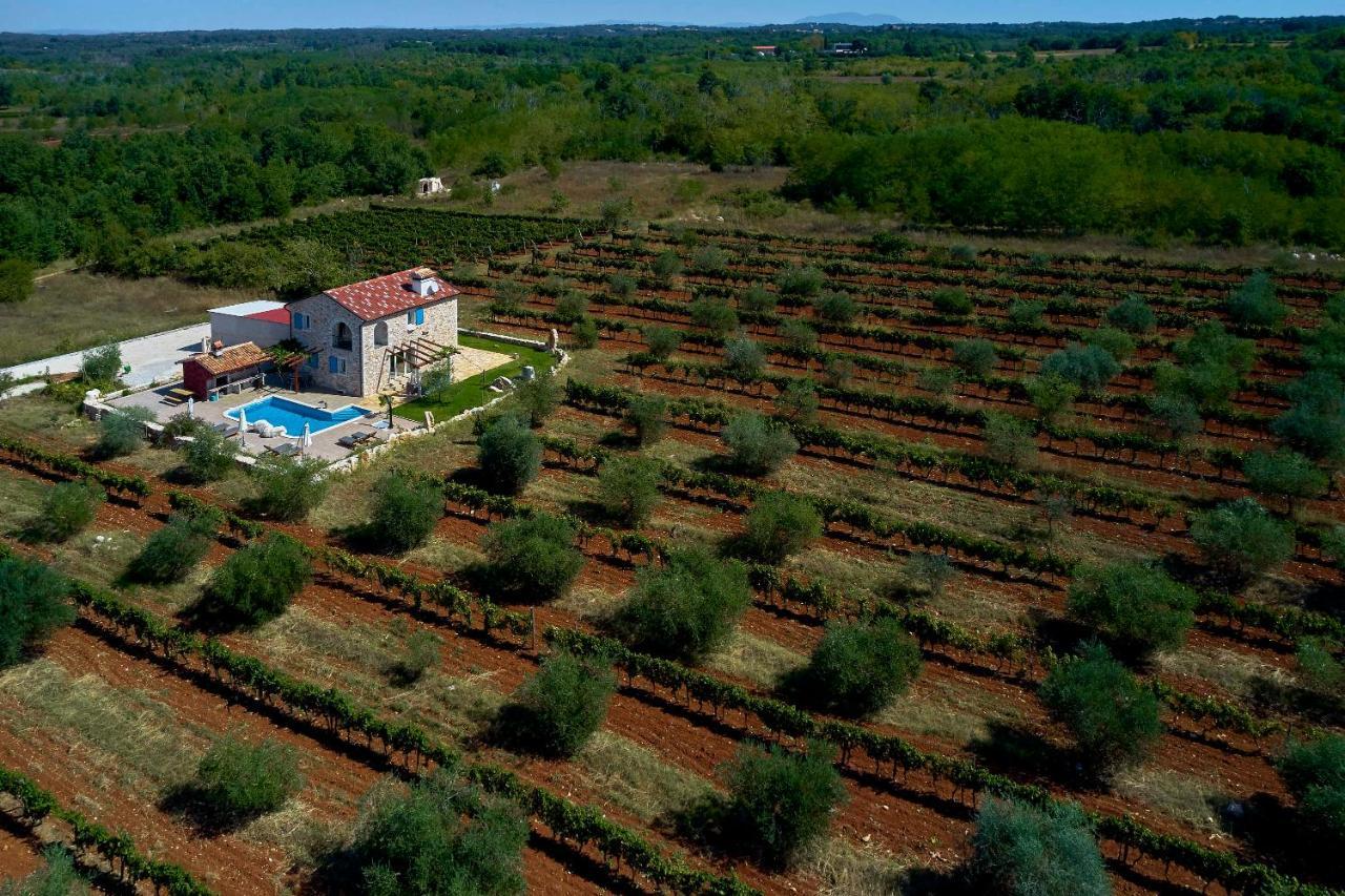 Relax House Surrounded By Olives And Vineyard Villa Stifanici Ngoại thất bức ảnh