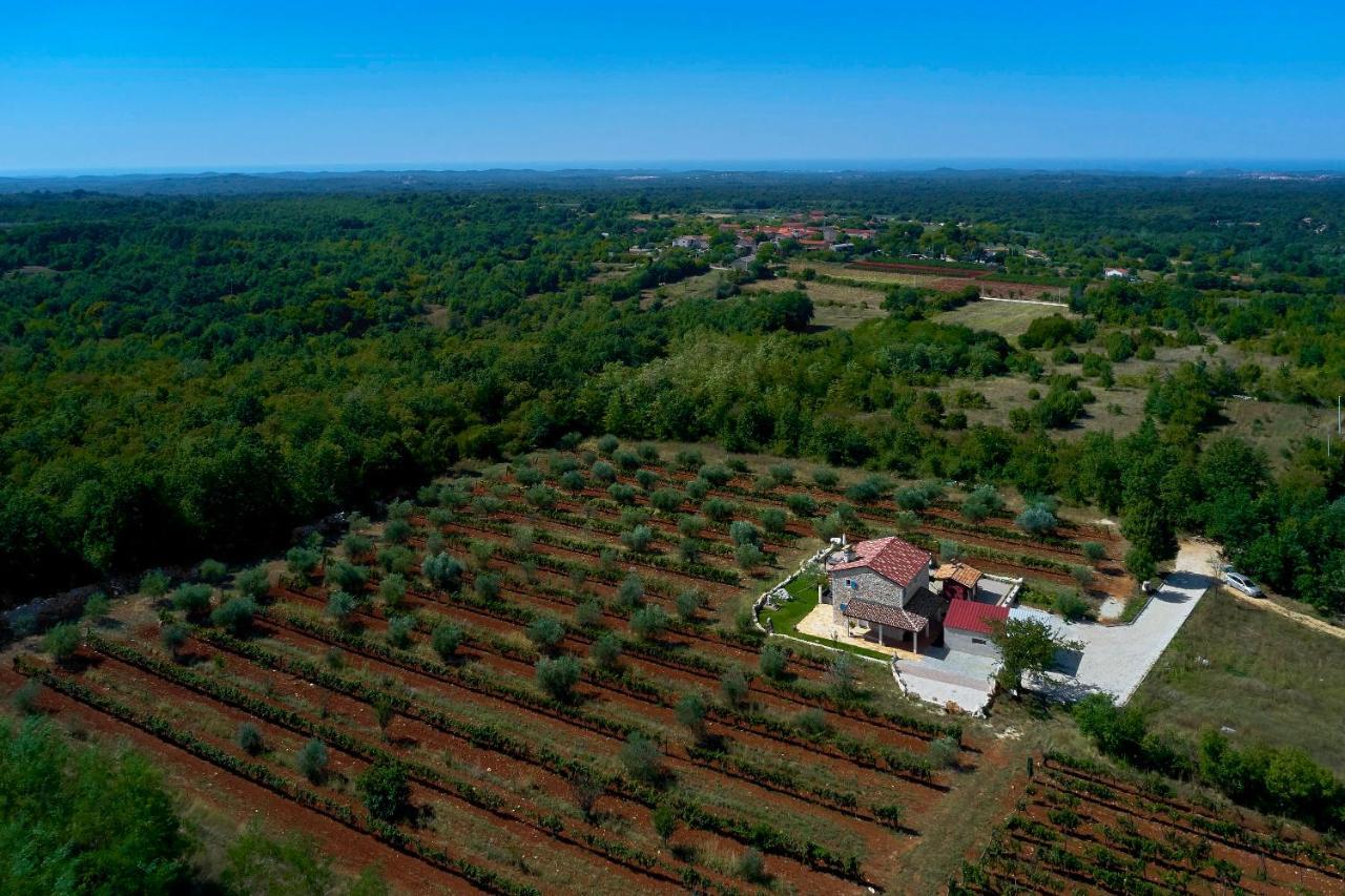 Relax House Surrounded By Olives And Vineyard Villa Stifanici Ngoại thất bức ảnh